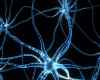 130625_neurons.jpg
