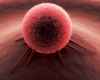 Cancer_Cell.jpg