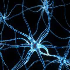 Alzheimer's Disease