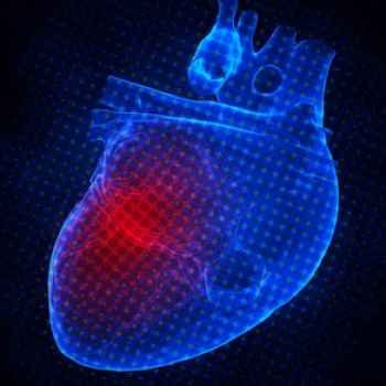 heart.jpg
